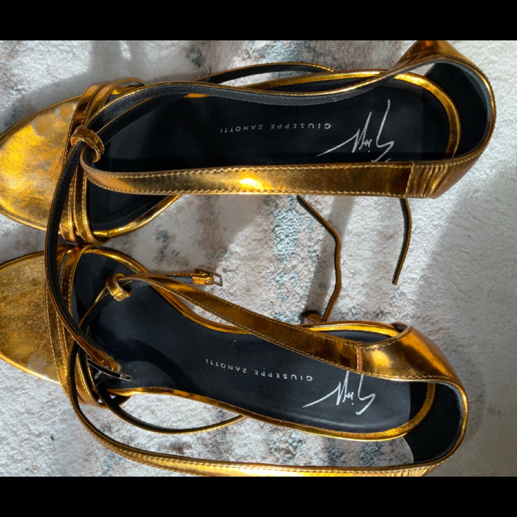 Giuseppe Zanotti